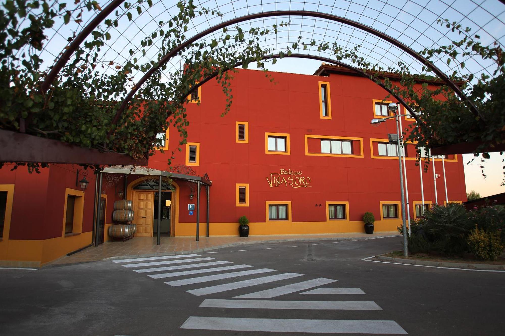 Hotel Chateau Vinasoro Alcázar de San Juan Zewnętrze zdjęcie